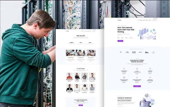 Web Hosting Website design preview