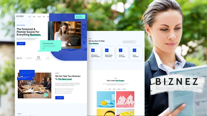 Professional Services Website design preview