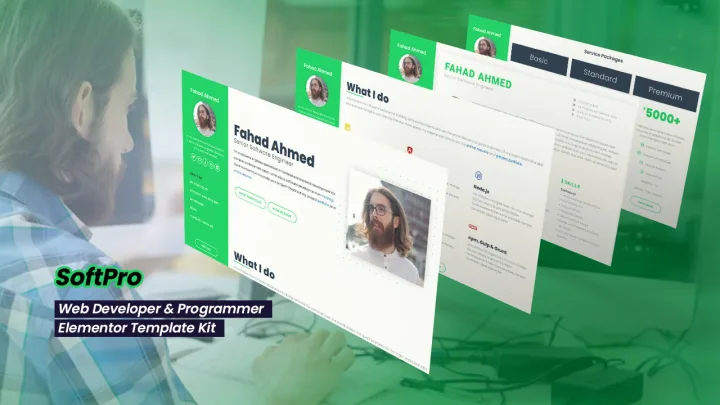 Software Developer Website design preview