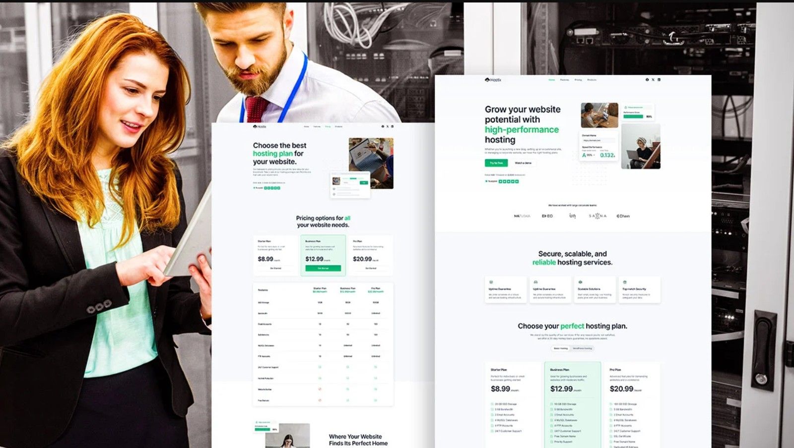 Hosting Website Project